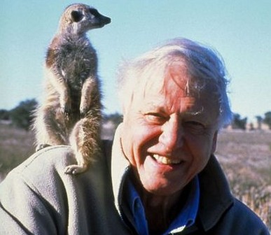 david-attenborough