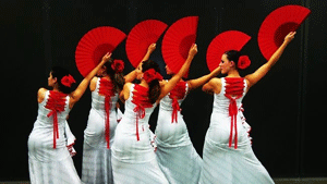 flamenco