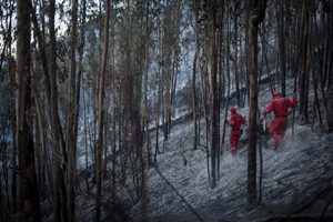 2-incendio-forestal-parque-metropolitano-quito