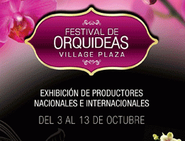 27-presentacion-orquideas-ecuador-guayaquil-samborondon