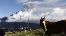 11-emisiones-de-ceniza-volcán-tungurahua