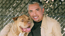 38-cesar-millan-en-ecuador