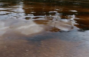 Limpieza del derrame en el Río San Miguel