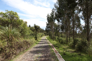 Parque Metropolitano del Sur, nuevas rutas de acceso