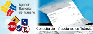 Consulta de infracciones por internet