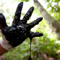  Artistas unidos para apoyar a la campaña contra Chevron