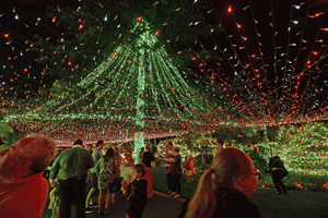 Ganadores de la casa con mayor número de luces en la historia