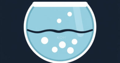 Koh Dissociate In Water