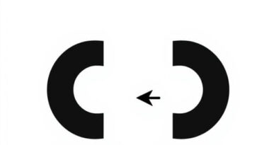 Uses Of Magnetic Repulsion