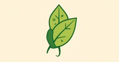 Uses Of Papaya Leaves