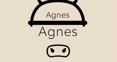 Agnes On The Cowcatcher