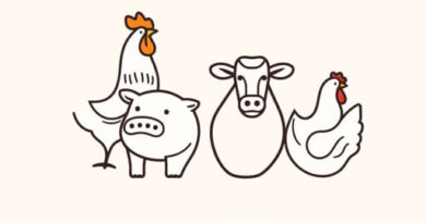 Animals For A Smallholding