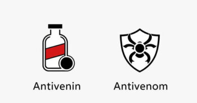 Antivenin Vs Antivenom Osrs