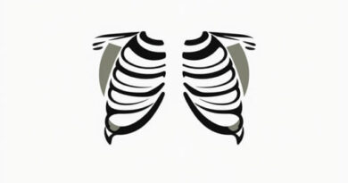 Apofisi Xifoidea Dello Sterno