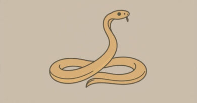 Are Canebrake Rattlesnakes Protected