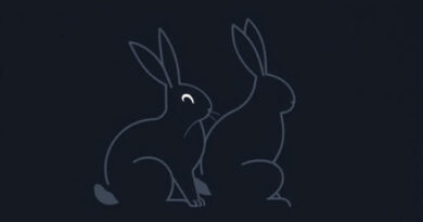 Are Cottontail Rabbits Nocturnal