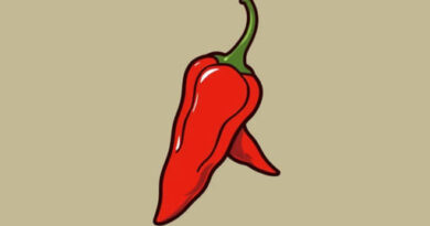 Are Morita Peppers Hot