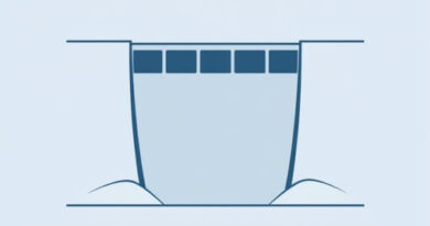 The Stump Sam Rayburn