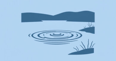 The Waterhole Saranac Lake