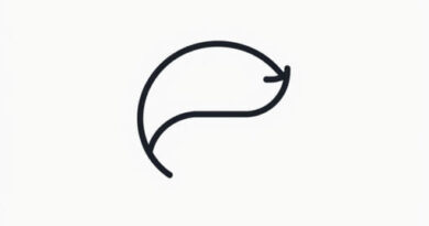 Transition Words For Conclusion