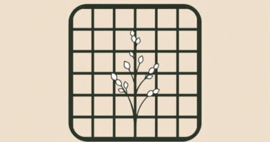 Untaken Diomira Trellis Bg3