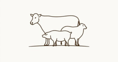 Uses Of Animal Husbandry