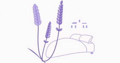 V Hotel Lavender Photos