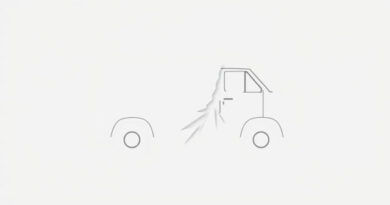 Vans Distort And Disrupt