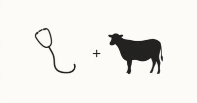 Veterinary And Animal Husbandry