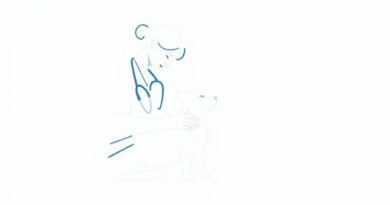 Vets For Pets Hastings