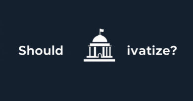 Vic3 Should You Privatize