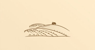 Vineyard Burnham On Crouch