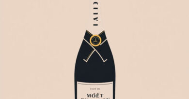 Visite Moet Et Chandon