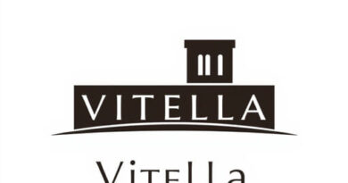Vitella Hotel N Djamena