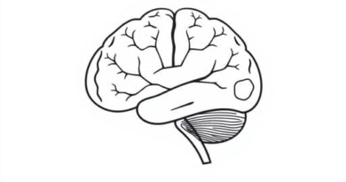 What Are Cranial Nerves