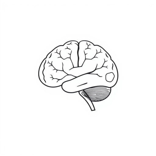 What Are Cranial Nerves