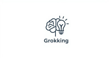 What Does Grokking Mean