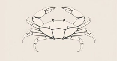 What Is Dungeness Crab