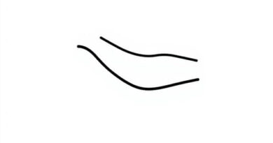 What Is Gliding Joint