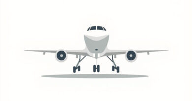 What Is Landing Gear