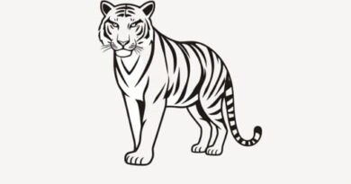 What Is Malayan Tiger