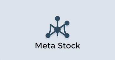 What Is Meta Stock