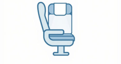 What Is Premium Economy