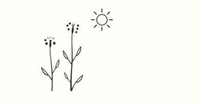 When To Desiccate Canola