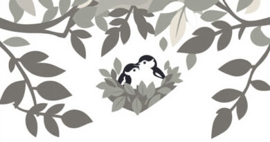 Where Do Towhees Nest