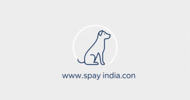 Www Spay India Com