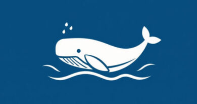 Xrp Whale Activity Breakout