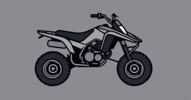 Yamaha Bear Tracker 250