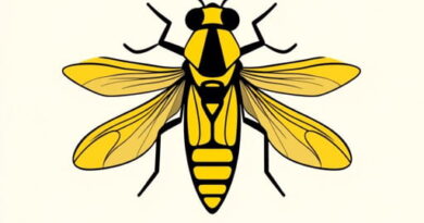 Yellow And Black Sawfly