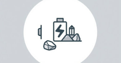 Yerno De Pinochet Litio